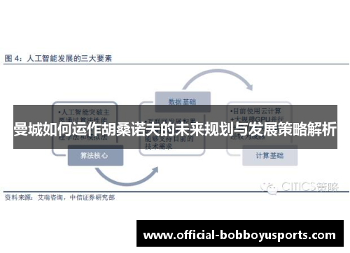 曼城如何运作胡桑诺夫的未来规划与发展策略解析