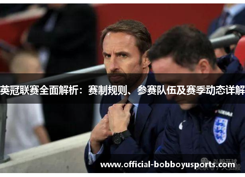 英冠联赛全面解析：赛制规则、参赛队伍及赛季动态详解