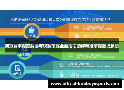 英冠赛事深度解读与观赛策略全面指南助你精准掌握赛场脉动